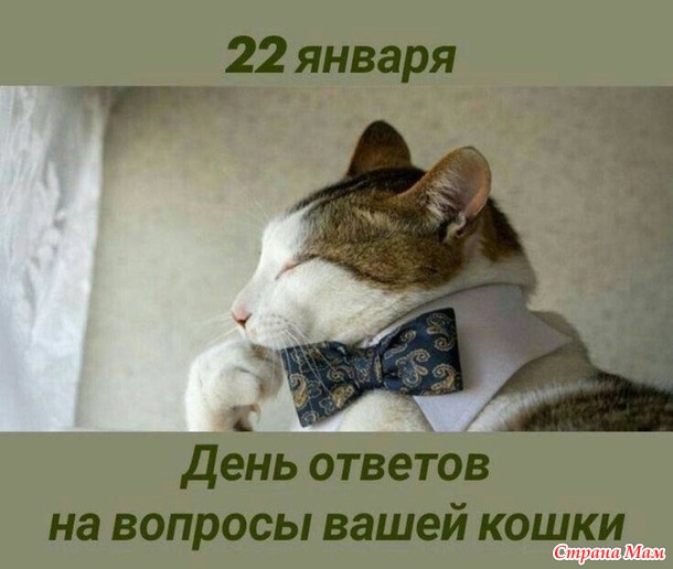  .   !