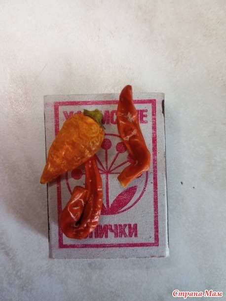 Мойва Хе
