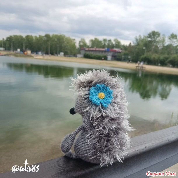 Грустный ежик. Подари подарок №2