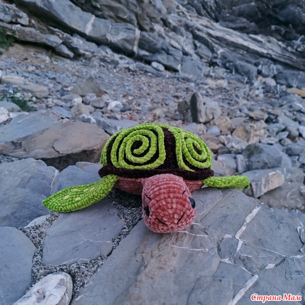 Морская черепашка по имени Наташка