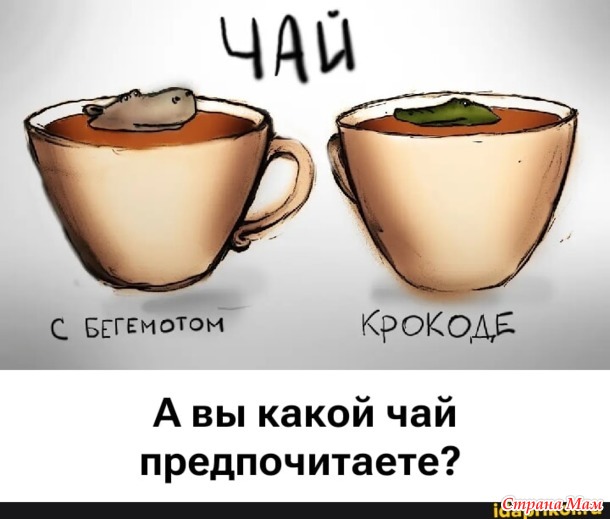  ?)