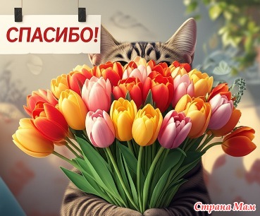 Отчет по летней игре