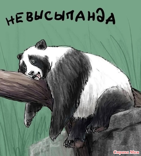    ))