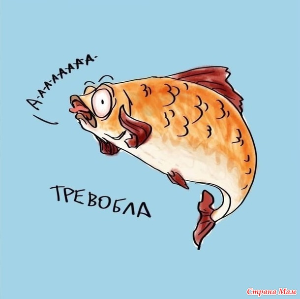    ))