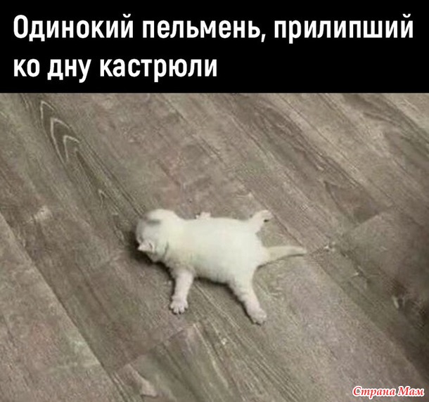      ))