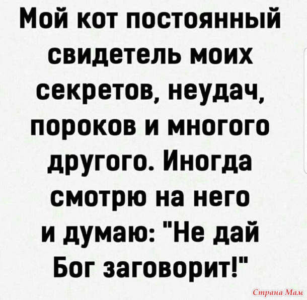   ))