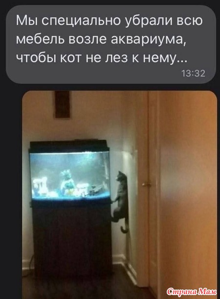   -   !))