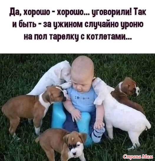    !))