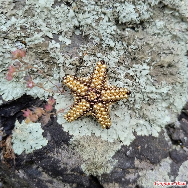 Времена года. Июль. Морские звездочки из бисера