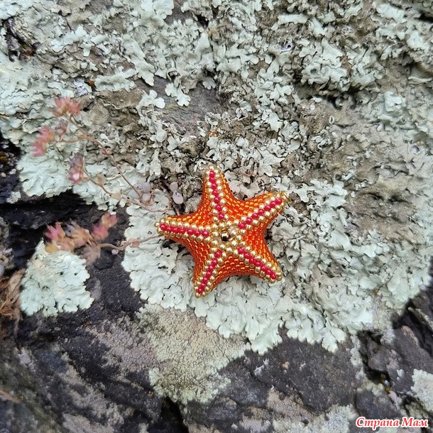 Времена года. Июль. Морские звездочки из бисера