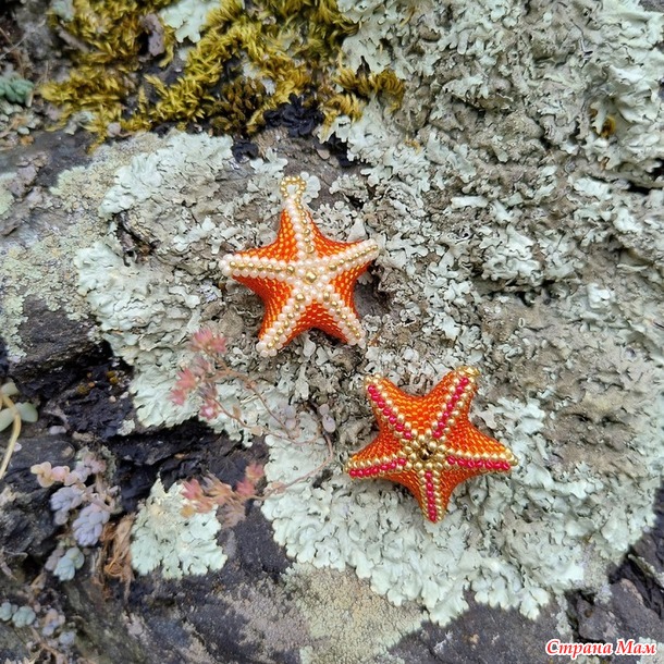 Времена года. Июль. Морские звездочки из бисера