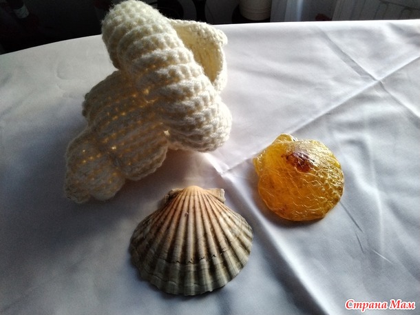 Времена года. Июль Море Море. Ракушка