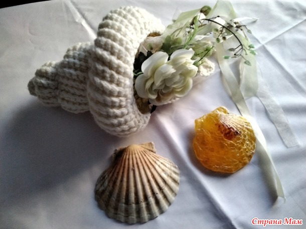 Времена года. Июль Море Море. Ракушка