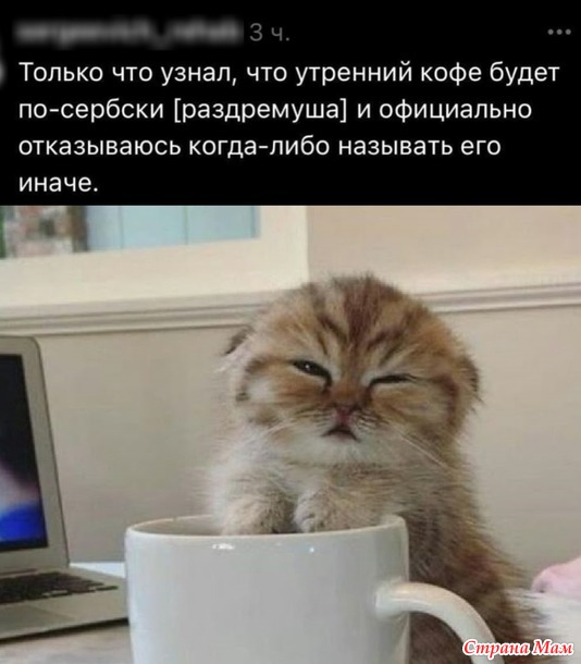   !))