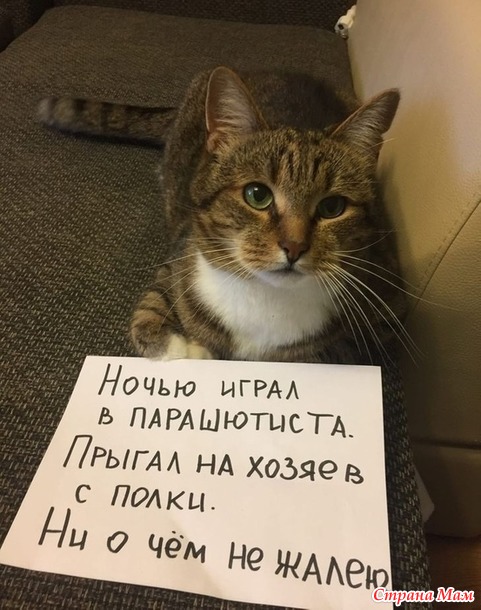  , !))