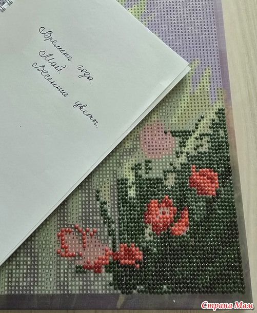 Времена года. Май. Тюльпаны.