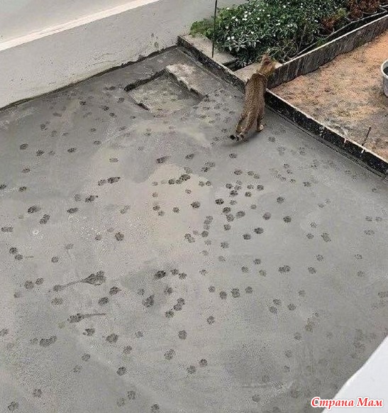 ",    "