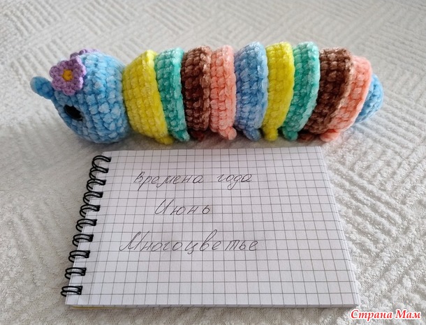 Времена года. Июнь. Цветная гусеница Chantal