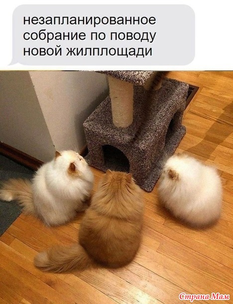 ))