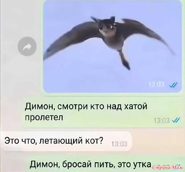     !))