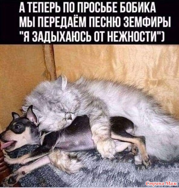  ))