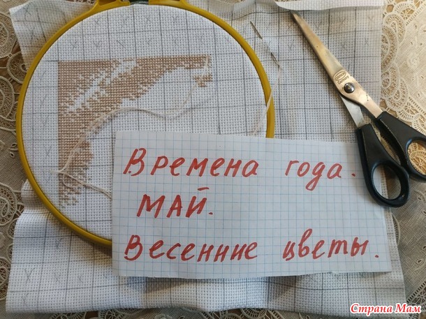 Времена года. Май. Весенние цветы. Сирень.