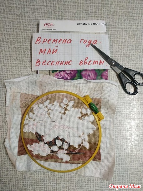 Времена года. Май. Весенние цветы. Сирень.