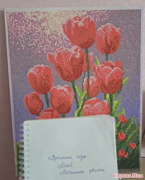 Времена года. Май. Тюльпаны.