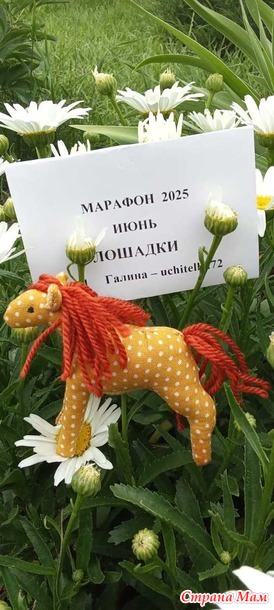 Марафон 2025, Июнь. Лошадка-в-Горошек (отчёт)
