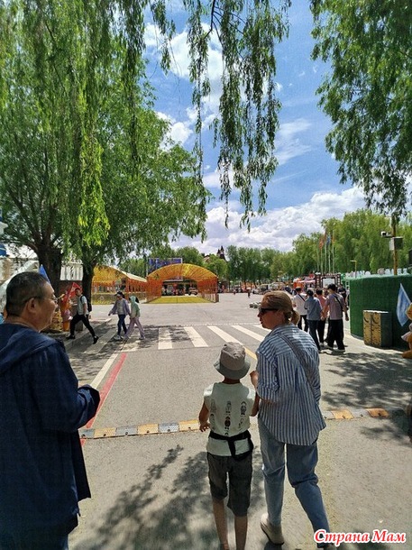 Поездка в Харбин. Часть 2. Тигры, мосты, шоколад.
