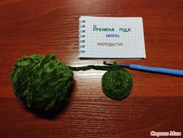 Времена года. Июнь. Змейка.