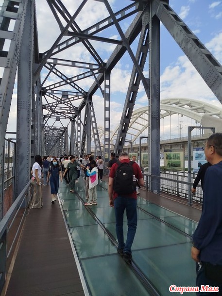 Поездка в Харбин. Часть 2. Тигры, мосты, шоколад.