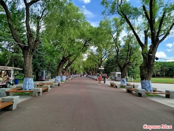 Поездка в Харбин. Часть 1.