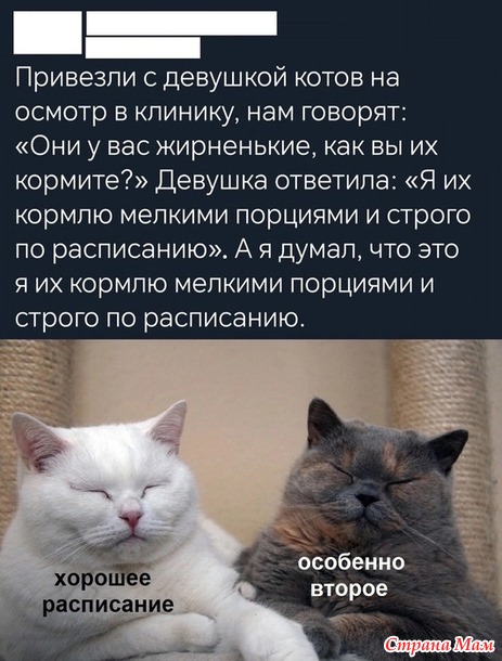      ?))