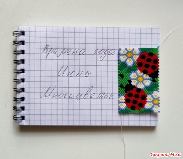 Времена года. Июнь. Pen wraps или одежки для ручек №2