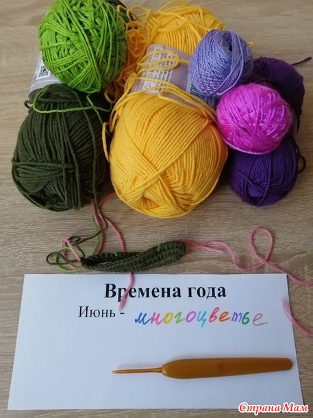 Времена года. Июнь. Отчет № 1. Очечники с цветами