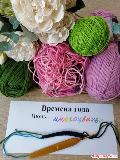 Времена года. Июнь. Отчет № 1. Очечники с цветами