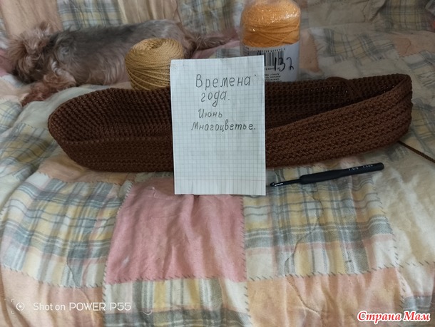 Времена года. Июнь. Шоппер с цветами.