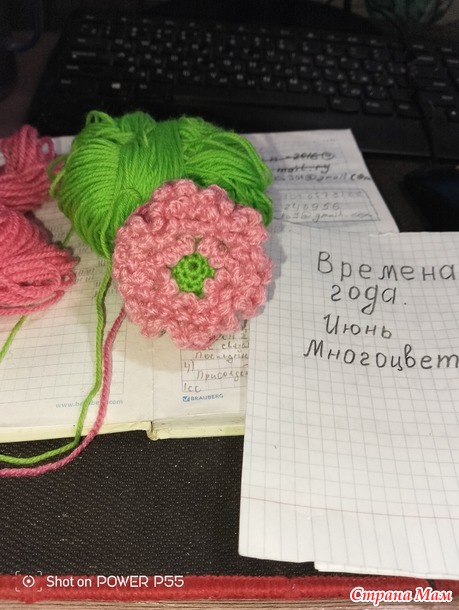 Времена года. Июнь. Шоппер с цветами.
