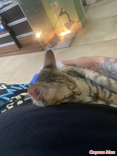 Котомать