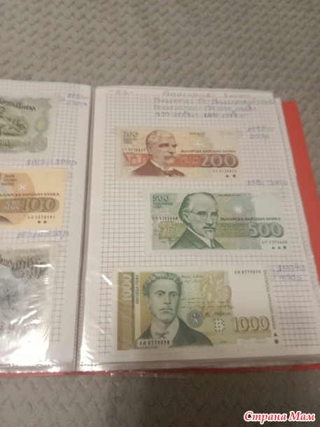 Две недели пролетели как один день.