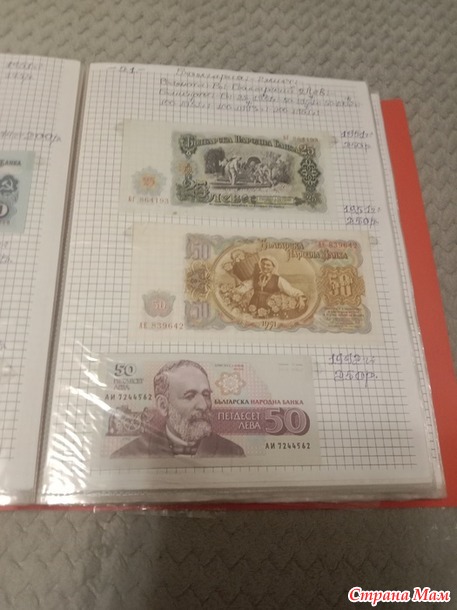 Две недели пролетели как один день.