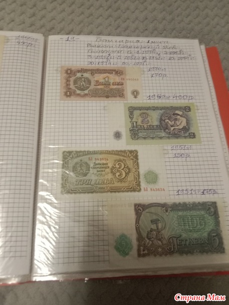 Две недели пролетели как один день.