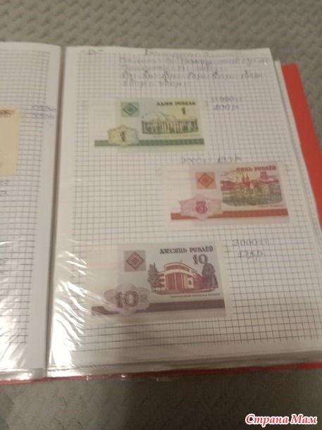 Две недели пролетели как один день.