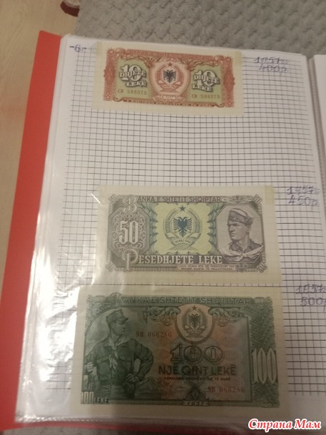Две недели пролетели как один день.