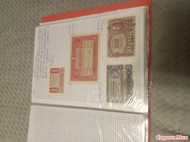 Две недели пролетели как один день.