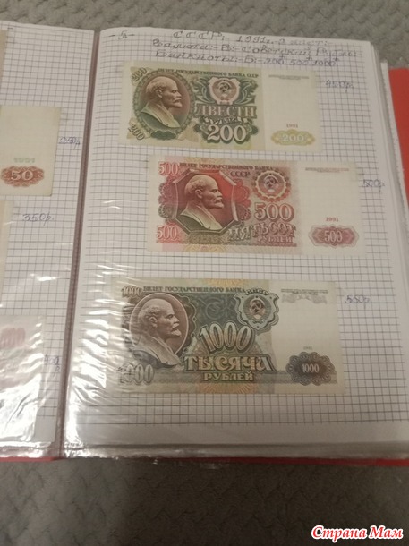 Две недели пролетели как один день.