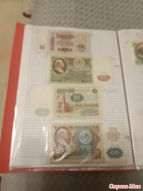 Две недели пролетели как один день.