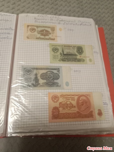 Две недели пролетели как один день.
