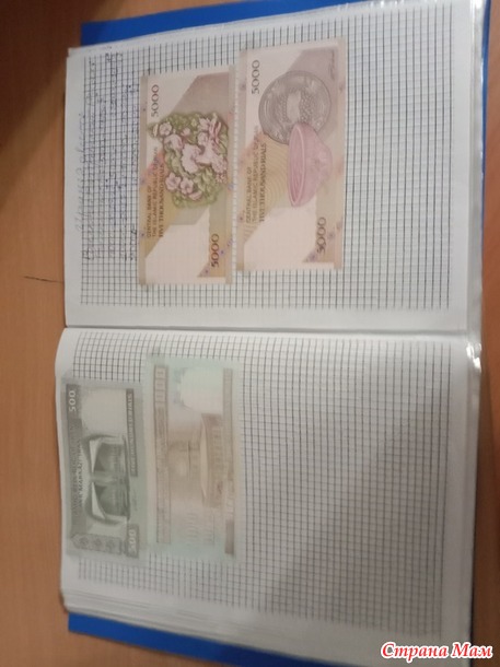 Две недели пролетели как один день.